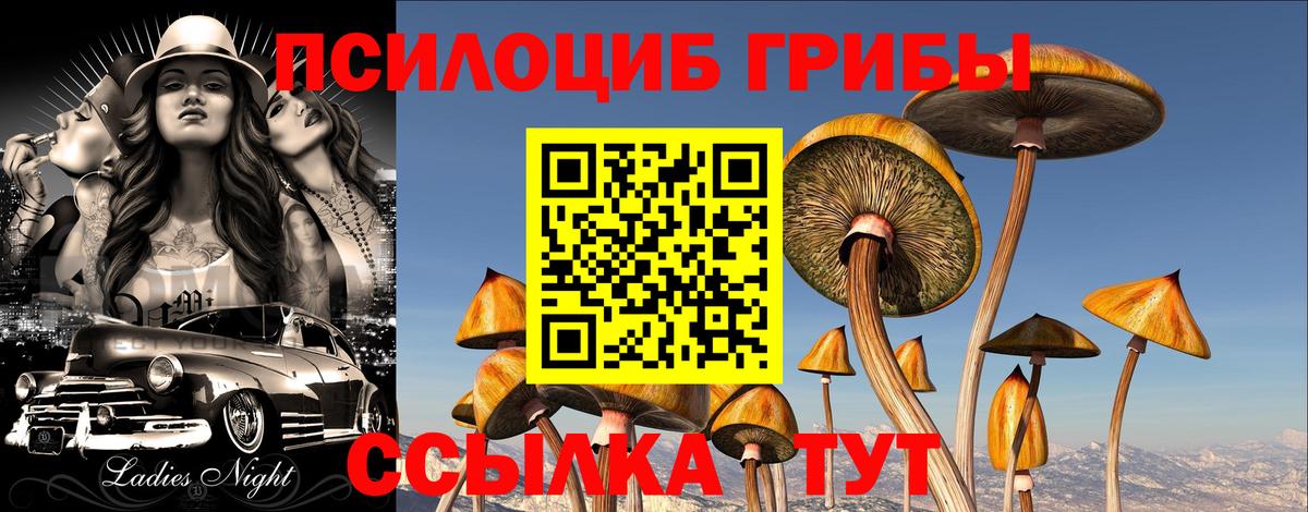 Псилоцибиновые грибы мухоморы Сосновоборск